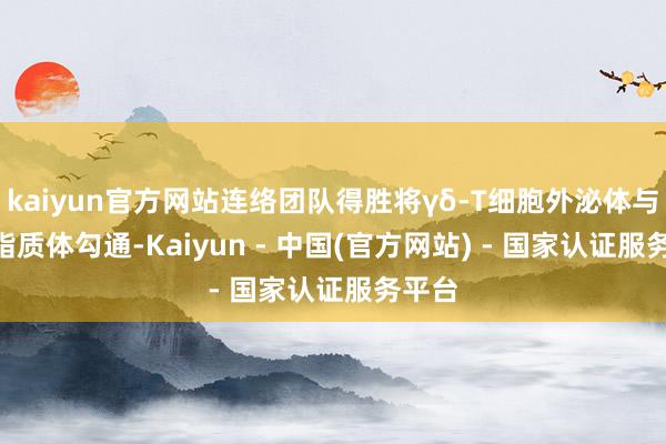 kaiyun官方网站连络团队得胜将γδ-T细胞外泌体与Ce6脂质体勾通-Kaiyun - 中国(官方网站) - 国家认证服务平台