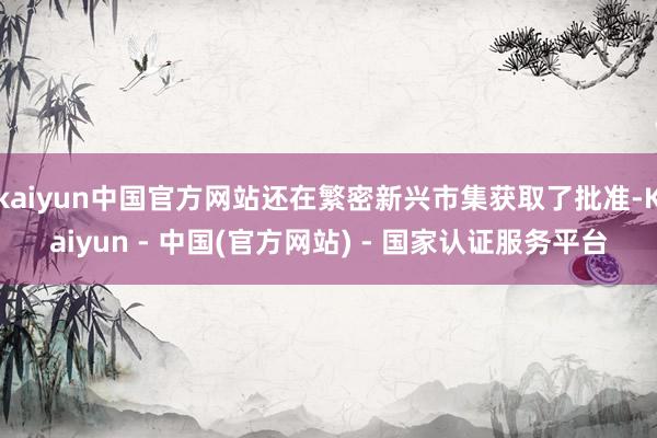kaiyun中国官方网站还在繁密新兴市集获取了批准-Kaiyun - 中国(官方网站) - 国家认证服务平台