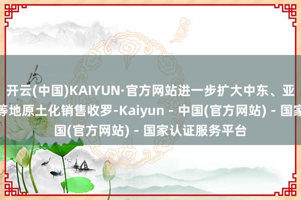 开云(中国)KAIYUN·官方网站进一步扩大中东、亚洲和北好意思等地原土化销售收罗-Kaiyun - 中国(官方网站) - 国家认证服务平台