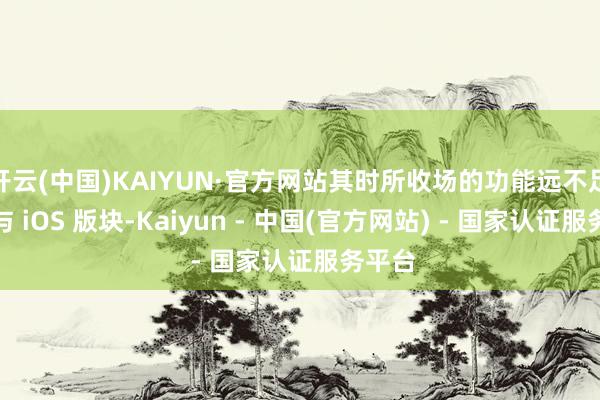 开云(中国)KAIYUN·官方网站其时所收场的功能远不足安卓与 iOS 版块-Kaiyun - 中国(官方网站) - 国家认证服务平台